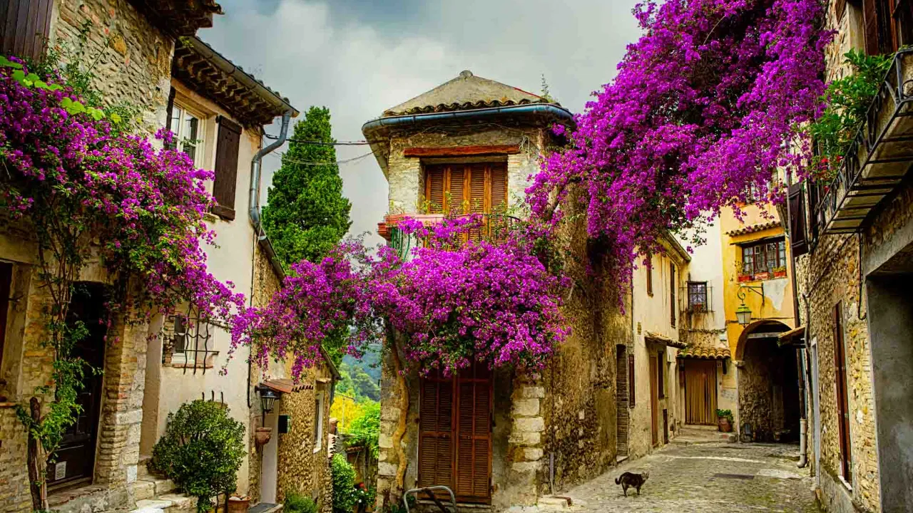 Provence – keskiaikainen kylä, jossa bougainvillea Provence – keskiaikainen kylä, jossa bougainvillea