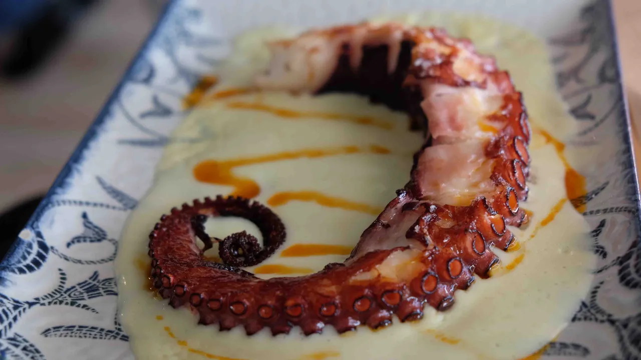 Grillattua mustekalaa Grillattua mustekalaa