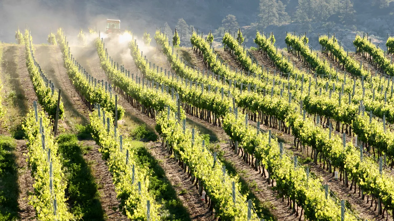 Okanagan Valley Brittiläisessä Kolumbiassa on Kanadan johtava viinialue, jossa on yli 200 viinitilaa Okanagan Valley Brittiläisessä Kolumbiassa on Kanadan johtava viinialue, jossa on yli 200 viinitilaa